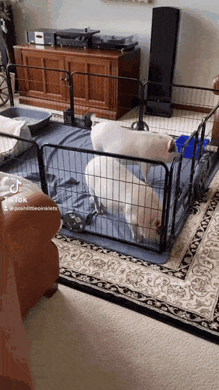 Просто гифки, всякие и&nbsp;разные