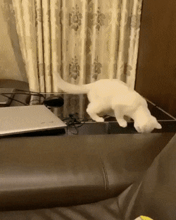 Просто гифки, всякие и&nbsp;разные