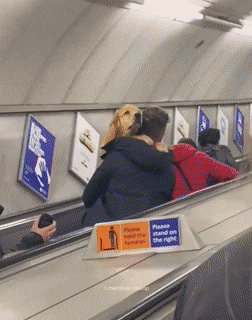 Просто гифки, всякие и&nbsp;разные