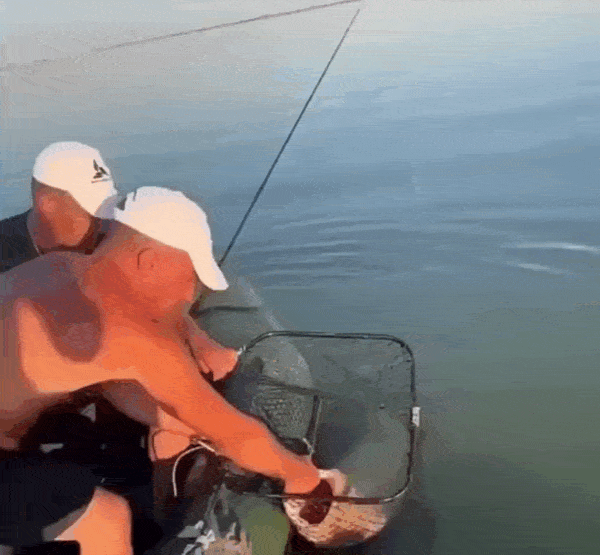 Просто гифки, всякие и&nbsp;разные