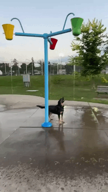 Просто гифки, всякие и&nbsp;разные