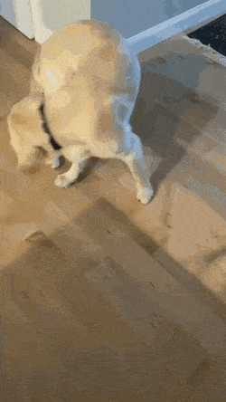 Просто гифки, всякие и&nbsp;разные