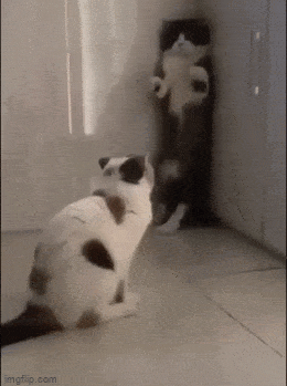 Просто гифки, всякие и&nbsp;разные