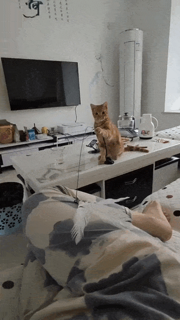 Просто гифки, всякие и&nbsp;разные