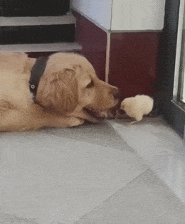 Просто гифки, всякие и&nbsp;разные