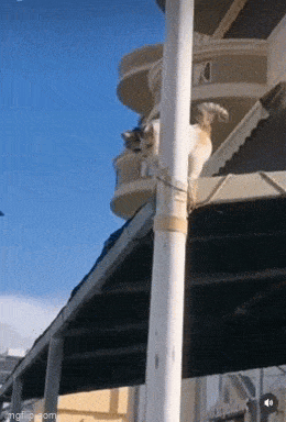 Просто гифки, всякие и&nbsp;разные