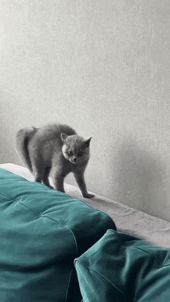 Просто гифки, всякие и&nbsp;разные