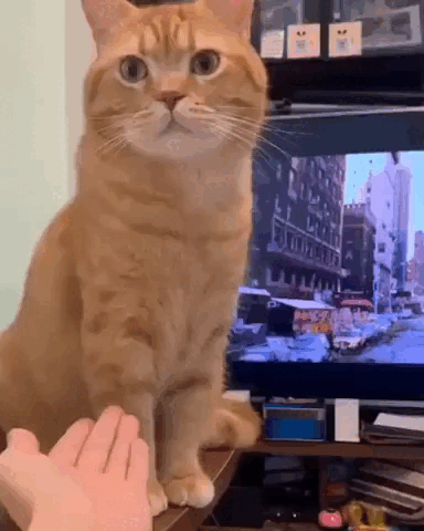 Просто гифки, всякие и&nbsp;разные