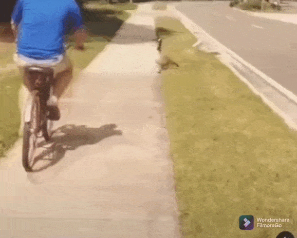 Просто гифки, всякие и&nbsp;разные