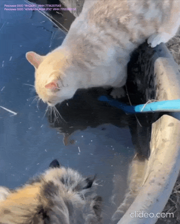 Просто гифки, всякие и&nbsp;разные