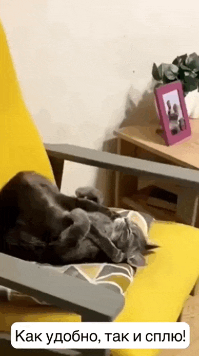 Просто гифки, всякие и&nbsp;разные