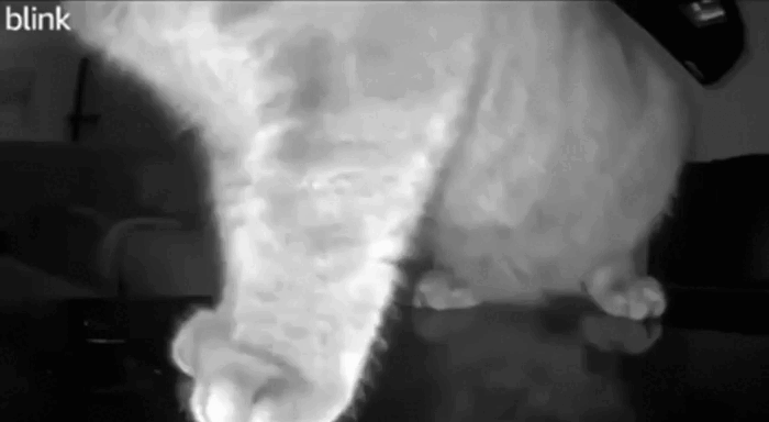 Просто гифки, всякие и&nbsp;разные