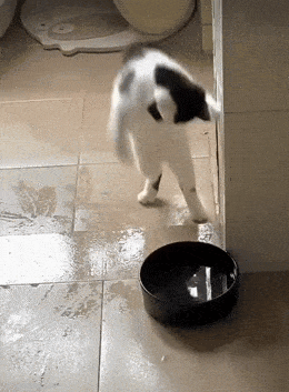 Просто гифки, всякие и&nbsp;разные