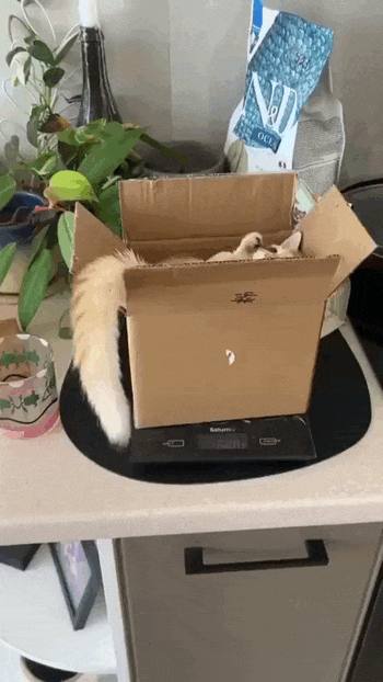 Просто гифки, всякие и&nbsp;разные