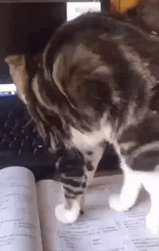 Просто гифки, всякие и&nbsp;разные