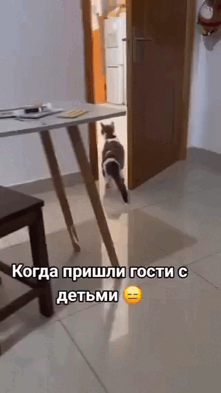 Просто гифки, всякие и&nbsp;разные