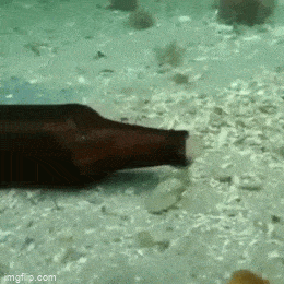 Просто гифки, всякие и&nbsp;разные