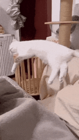 Просто гифки, всякие и&nbsp;разные