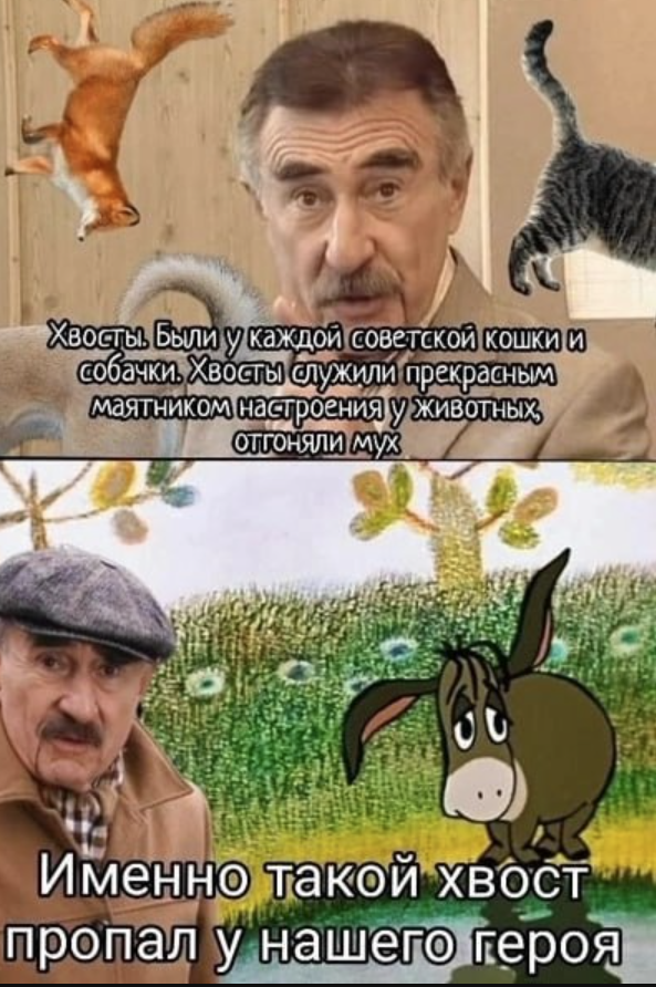 5. Следствие ведёт майор Винни
