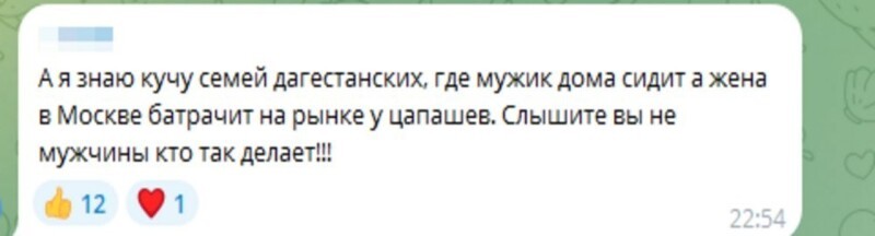 "Лучше родиться собакой, чем женщиной в дагестанской семье": кавказские мужчины обиделись на замечание блогера