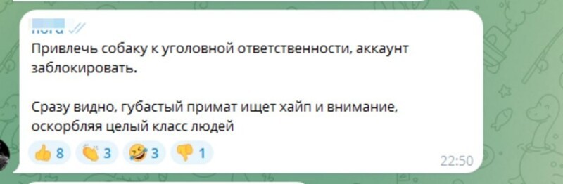 "Лучше родиться собакой, чем женщиной в дагестанской семье": кавказские мужчины обиделись на замечание блогера