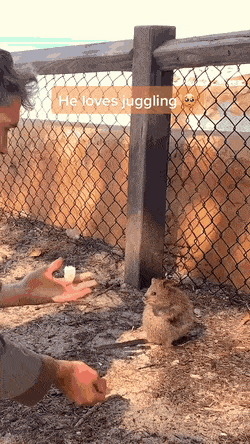 Просто гифки, всякие и&nbsp;разные