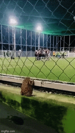 Просто гифки, всякие и&nbsp;разные