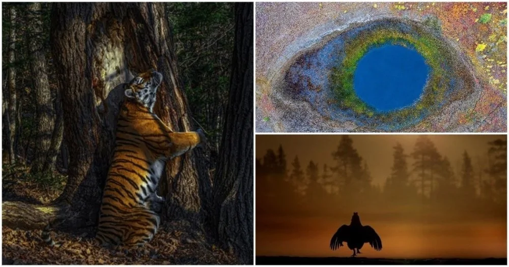 Фотографические оскары россиян