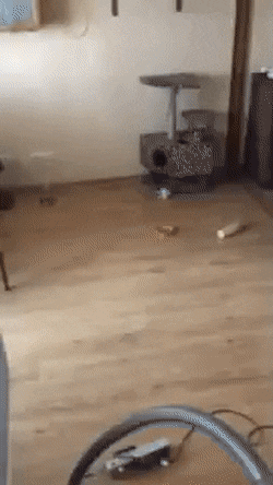 Просто гифки, всякие и&nbsp;разные