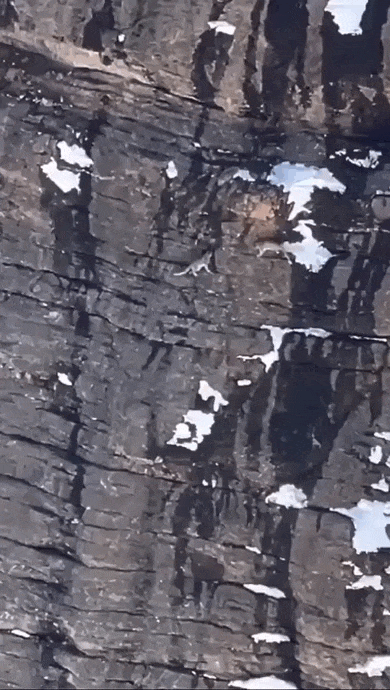 Просто гифки, всякие и&nbsp;разные