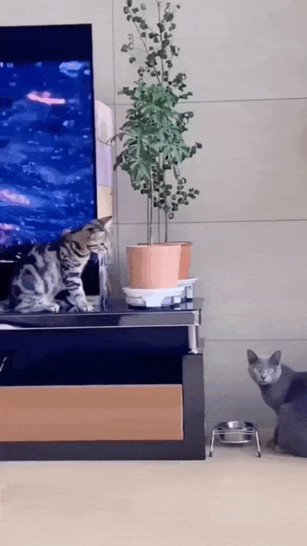 Просто гифки, всякие и&nbsp;разные