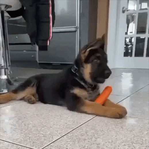 Просто гифки, всякие и&nbsp;разные