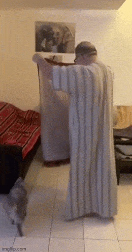 Просто гифки, всякие и&nbsp;разные