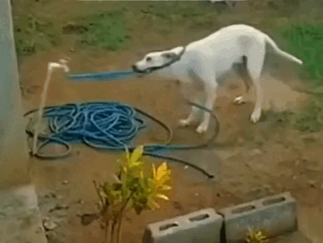 Просто гифки, всякие и&nbsp;разные