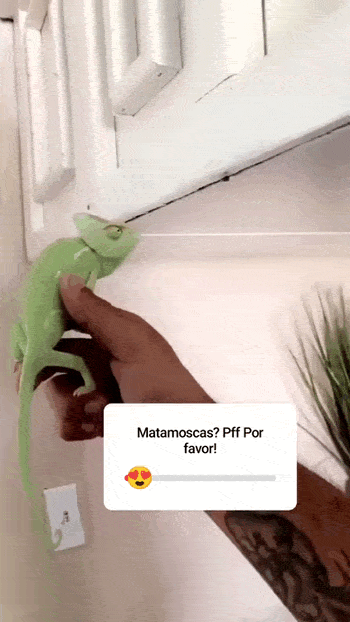 Просто гифки, всякие и&nbsp;разные