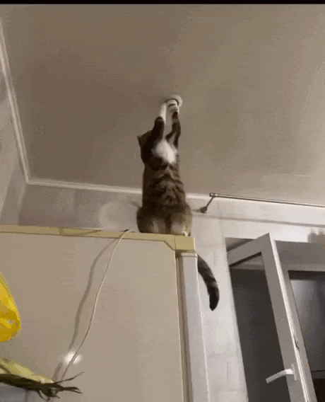 Просто гифки, всякие и&nbsp;разные