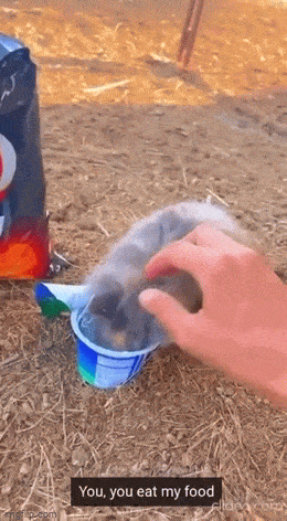 Просто гифки, всякие и&nbsp;разные