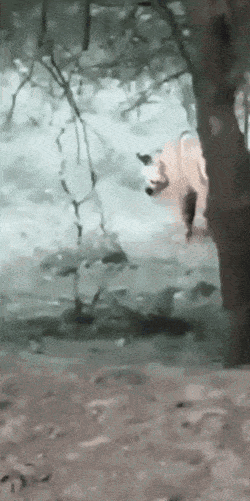 Просто гифки, всякие и&nbsp;разные