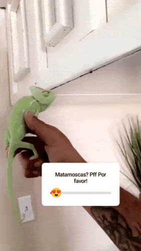 Просто гифки, всякие и&nbsp;разные