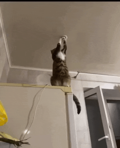 Просто гифки, всякие и&nbsp;разные