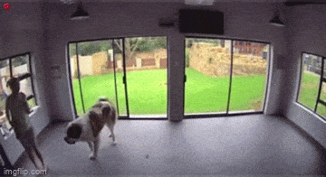 Просто гифки, всякие и&nbsp;разные