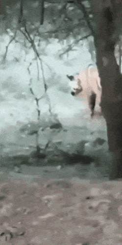 Просто гифки, всякие и&nbsp;разные