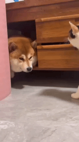 Просто гифки, всякие и&nbsp;разные