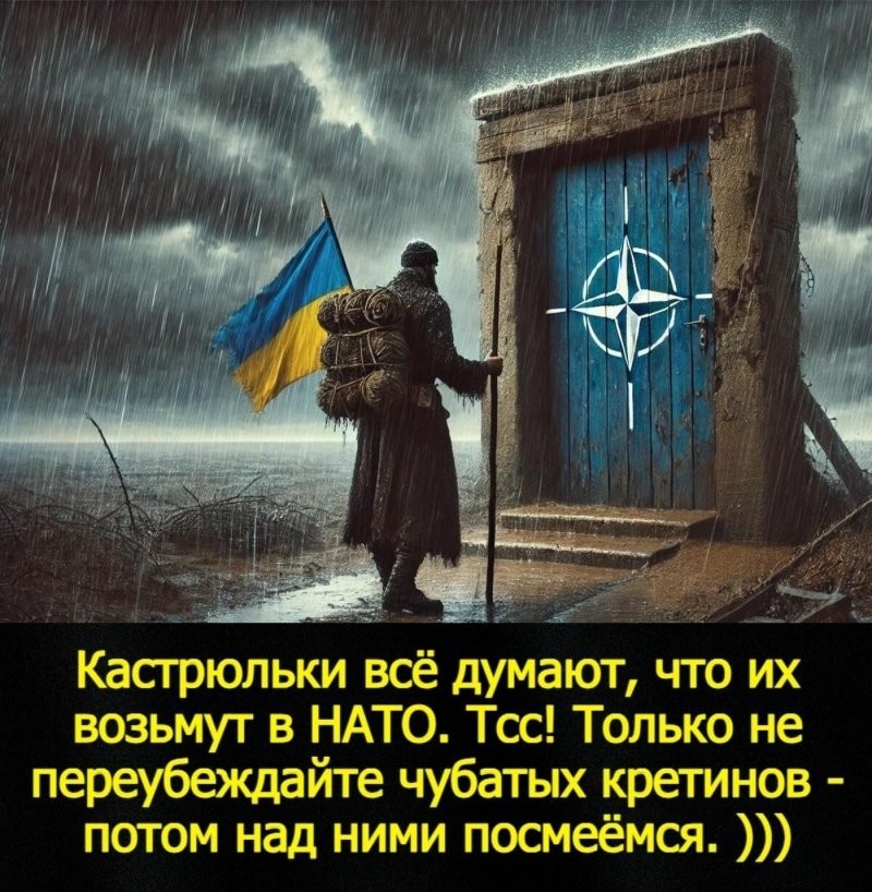 Привет, агрессоры!!! Всех с пятницей!!!