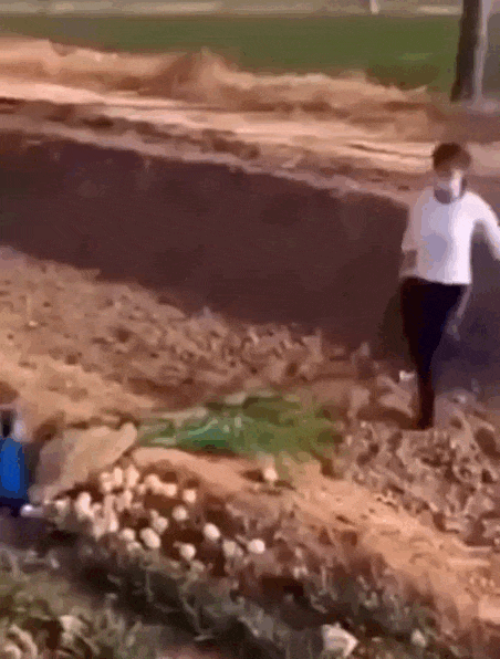 Просто гифки, всякие и разные Просто гифки, всякие и разные