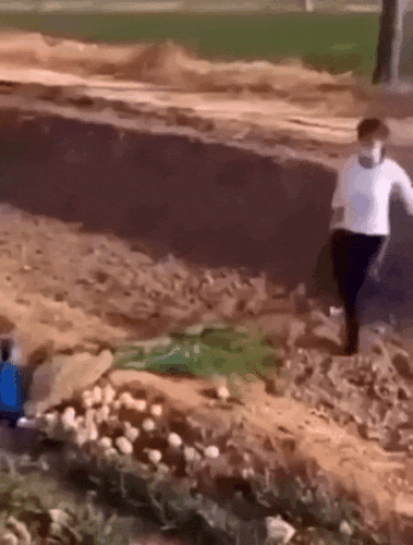 Просто гифки, всякие и разные Просто гифки, всякие и разные