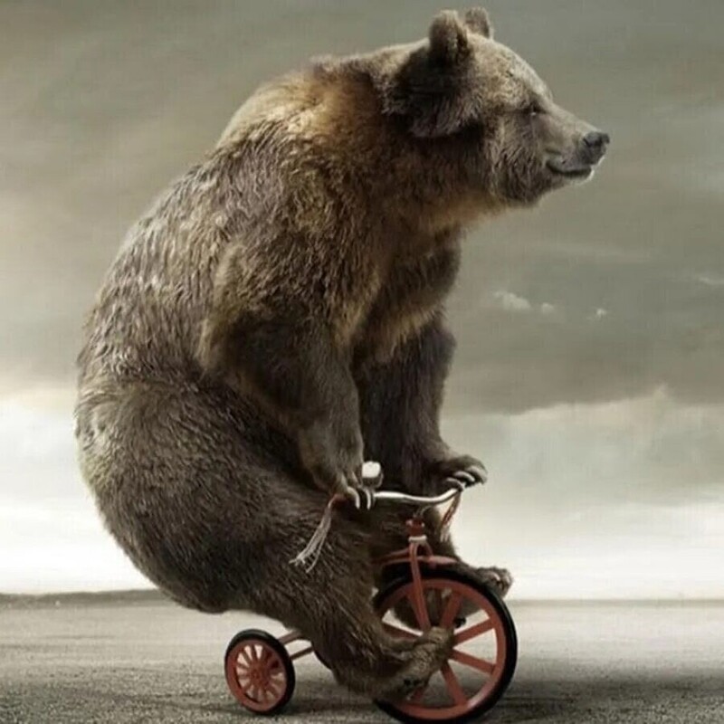 ... да нам по хер ... ))) ... да нам по хер ... )))