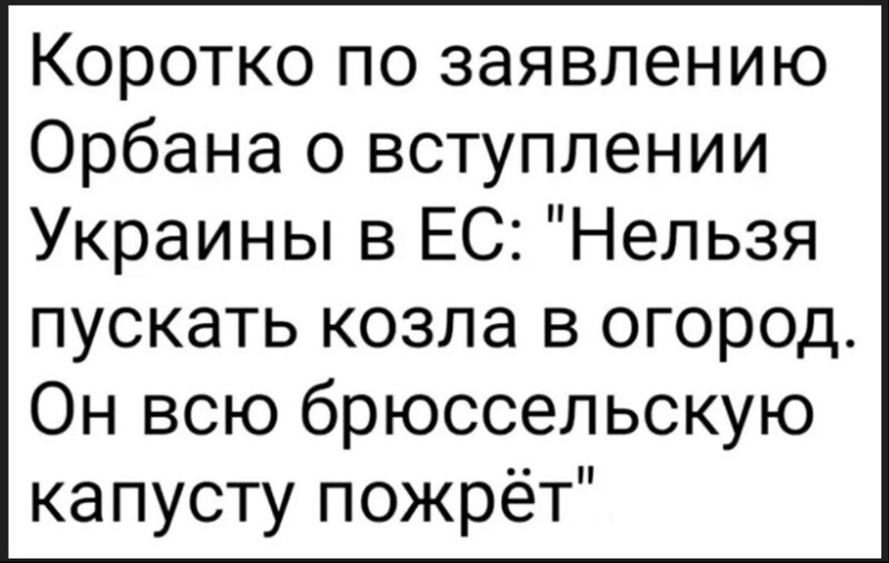 О политике и не только О политике и не только