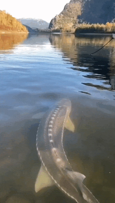 Просто гифки, всякие и разные Просто гифки, всякие и разные