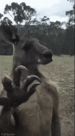 Просто гифки, всякие и разные Просто гифки, всякие и разные